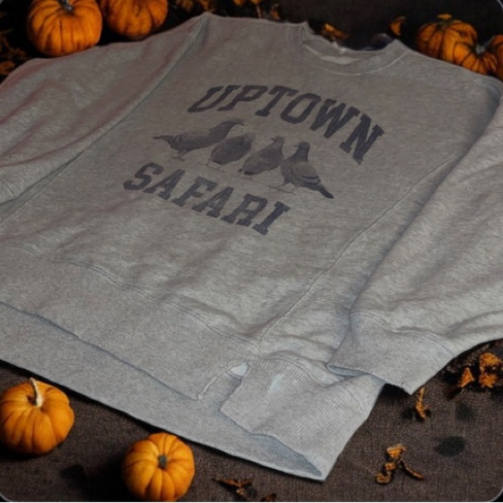 aerie crew neck sweater